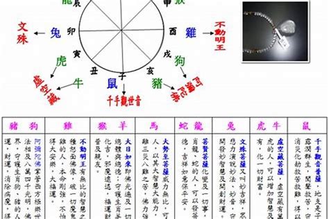 股票五行属什么|股票五行属什么？